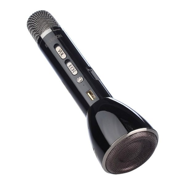 Karaoke Microphone